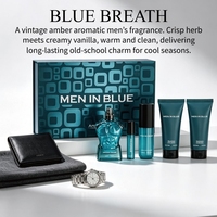 Coffret de Parfums Aromatiques Ambre en Gros pour Hommes, Boîte Cadeau Parfum Menthe Vanille pour Barbier, Flacon Torse, Cologne OEM