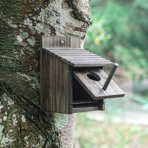 הנמכר ביותר חיצוני עץ ציפור בית כפרי ציפור בית עץ חדש ארז עץ דקורטיבי תלויות שובך קן - Product Image 3