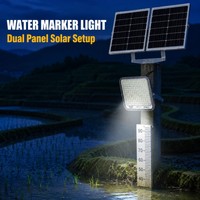 Lampe solaire murale extérieure CD01-PC-300W en gros d'usine avec deux panneaux solaires mono 6V et batterie au lithium 60AH pour affichage sur pierre