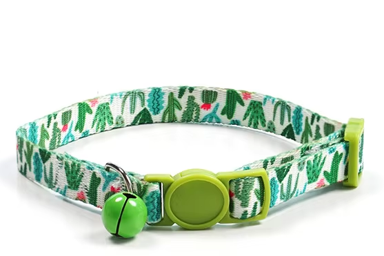 Jungle verte