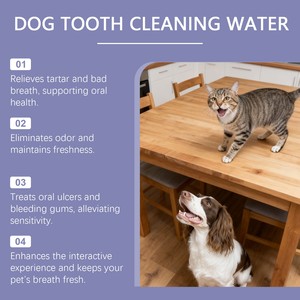 Enjuague Bucal Personalizado <span class=keywords><strong>de</strong></span> Fábrica para Mascotas, Líquido <span class=keywords><strong>de</strong></span> Limpieza Dental para Perros y Gatos, el Mejor Eliminador <span class=keywords><strong>de</strong></span> Placa para Eliminar el Mal Olor Bucal y Controlar el Mal Aliento - Product Image 6