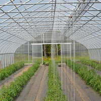 Serre tunnel agricole en film plastique à simple travée de haute qualité pour la culture de légumes