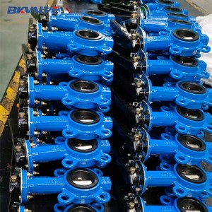 2 <span class=keywords><strong>in</strong></span> DN50 DN65球墨铸铁圆杆手动蝶阀价格表 - Product Image 3