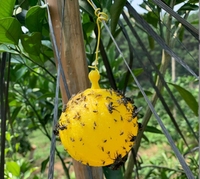 Buiten hangende tuin gereedschap fruitvliegbal fruitvliegval