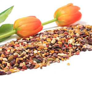 Gros naturel Mookaite cristal puces guérison dégringolé pierre Gravles pour la décoration de la maison avec le thème de la mascotte - Product Image 4