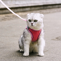 Accessoires pour animaux de compagnie Luxueux pour teckels Sans traction Corde laisse Ensemble de laisse et harnais pour chiens