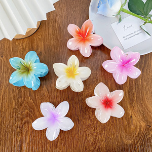 BLISSLIFE - Pinzas de Pelo con Flores Transparentes para Mujer, Accesorios para el Cabello, Pinzas de Pelo con Flores - Product Image 2
