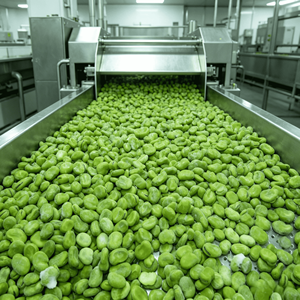 Fave Intere Congelate IQF di Alta Qualità a Prezzo di Fabbrica, Marchi OEM Disponibili - Product Image 3