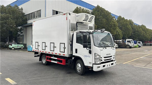 Haute qualité ISUZU 5000 pièces jour vieux poulet camion de Transport ferme bébé bébé poussin camion de livraison - Product Image 6