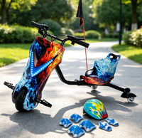 Tricycle électrique de course Crazy Drift 3 roues OEM d'usine 250W 36V3.0AH pour enfants et adultes