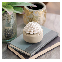Diffuseur OEM de Cactus blanc diffuseur de parfum et d'huile essentielle diffuseur de porcelaine avec huile essentielle de menthe poivrée