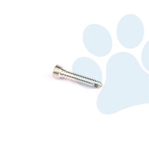 Veterinaire orthopedische implantaten, roestvrijstalen vergrendelende botschroeven voor chirurgische fixatie-instrumenten - Product Image 3