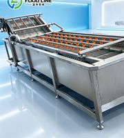 Automatische temperatuurregeling ozonwater voor fruitdesinfectie bubbelwasmachine