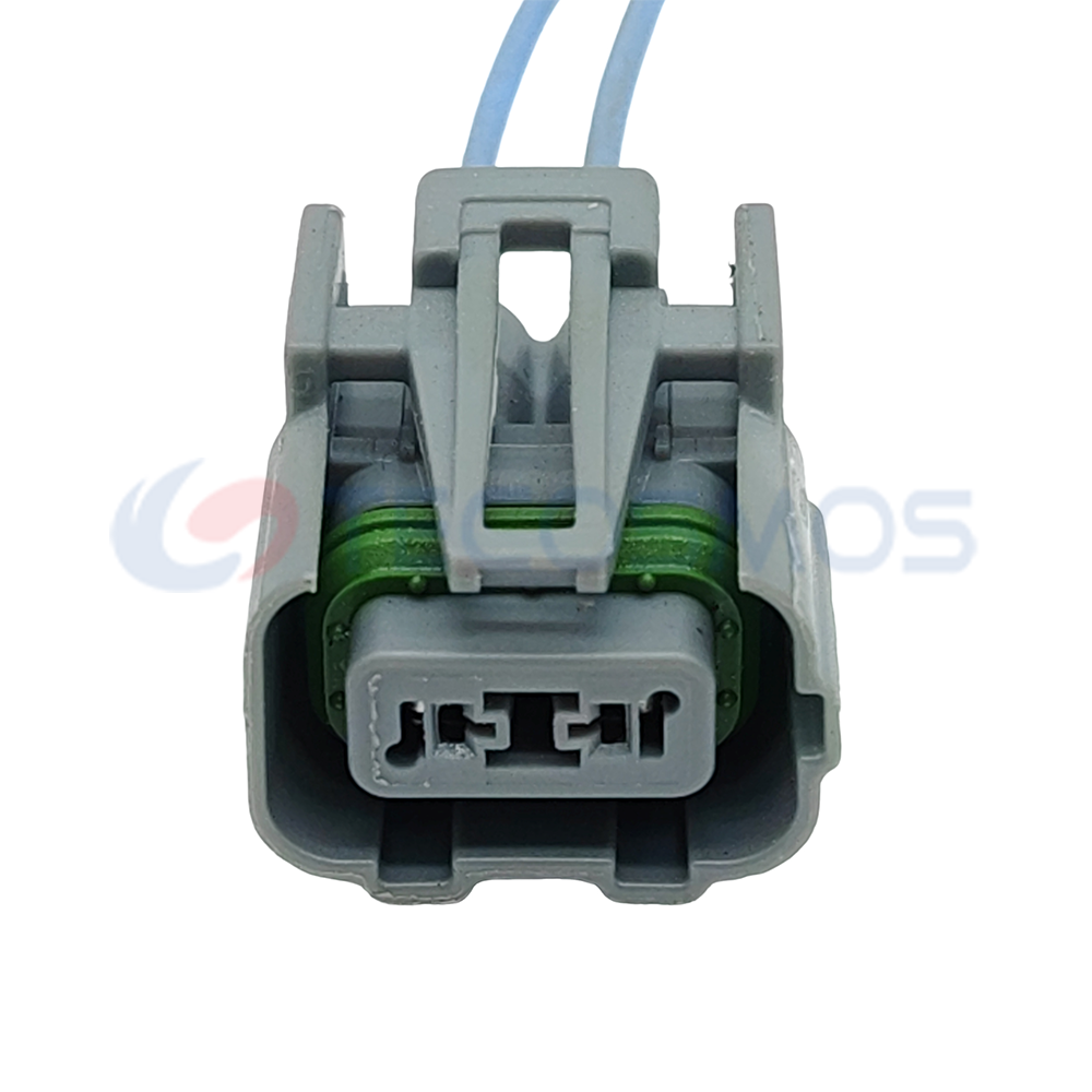 Wire Harness Plug of Automobile Waterproof Connector 2 Pin Female 15489798