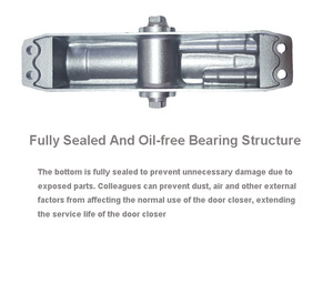 VIANS 60KG Max <strong>Door</strong> <strong>Weight</strong> Aluminum Alloy Heavy Duty Automatic <strong>Door</strong> Closer - Product Image 3