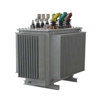 Transformateur de puissance toroïdal immergé dans l'huile, triphasé, extérieur, à bobinage en cuivre ONAN, 480V 50/60Hz, S13-S22, à froid, Zhongyong