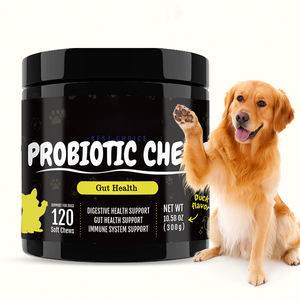 Suplemento Masticable Probiótico Orgánico Natural OEM para <span class=keywords><strong>Perros</strong></span>, Apoya la Salud Digestiva e Inmunológica, Absorción Rápida, Cuidado de la Salud de las Mascotas - Product Image 1