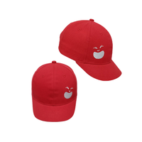 Gorra de Béisbol de 6 Paneles Personalizable de Alta Calidad con Tela 100% Algodón Impermeable, Ajustable para Ir de Compras, Empaquetada en Cartón