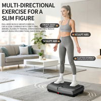 Équipement de sport de haute qualité pour salle de sport, masseur corporel complet, équipement de fitness, plaque vibrante