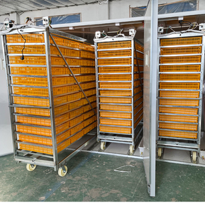 Máy ấp trứng 30000 10000 ấp trứng để bán - Product Image 2