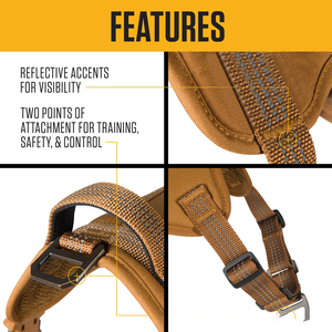 Harnais pour chien Carhartt en nylon solide, anti-traction, entièrement réglable, poignée de contrôle rapide, accents réfléchissants, marron, taille L - Product Image 5
