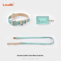 Ensemble collier et laisse pour chien en tissu Cortex, style Instagram, color block, pour chiens de petite et moyenne taille, vente en gros, international