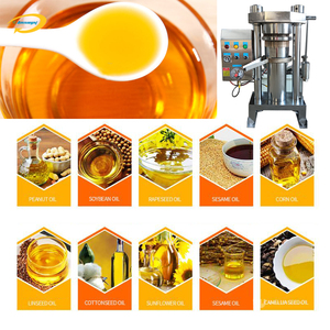 Máquina de extracción de aguacate de alto rendimiento de aceite, prensa de aceite hidráulica de acero inoxidable, prensa de aceite hidráulica comercial para cacao - Product Image 2