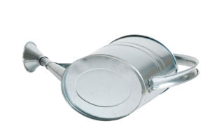 Arrosoir en métal 12L fournitures galvanisées pichet à eau pour plantes de jardinage d'intérieur extérieur ovale avec poignée et bec verseur - Product Image 5