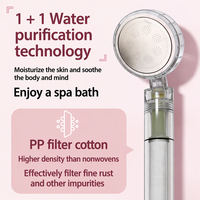 Pommeau de Douche à Haute Pression avec Filtre à Vitamine C en ABS pour Hôtels et Résidences, Vente en Gros