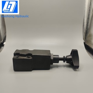 Valvola di Controllo della Pressione Haohong <span class=keywords><strong>DG</strong></span>-02 250bar 16L/min Unidirezionale Porta 1/4 Personalizzabile OEM Idraulica in Ghisa DT02 Garanzia di 1 Anno - Product Image 5