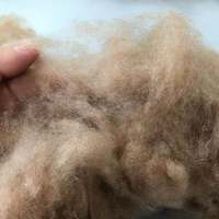 Beste Qualität supersoft enthaartes Kamel haar, Kamel wolle mit Fabrik preis