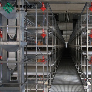 Pulcini da carne di un giorno dell'allevamento di polli di pollame ad alta efficienza di migliore qualità a basso prezzo <span class=keywords><strong>in</strong></span> <span class=keywords><strong>vendita</strong></span> - Product Image 3