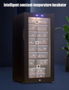 Güneş kontrol sürüngen yumurta kuluçka kuluçka bıldırcın ve kanatlı tavuk kuluçka makinesi Ostrich & devekuşu - Product Image 6