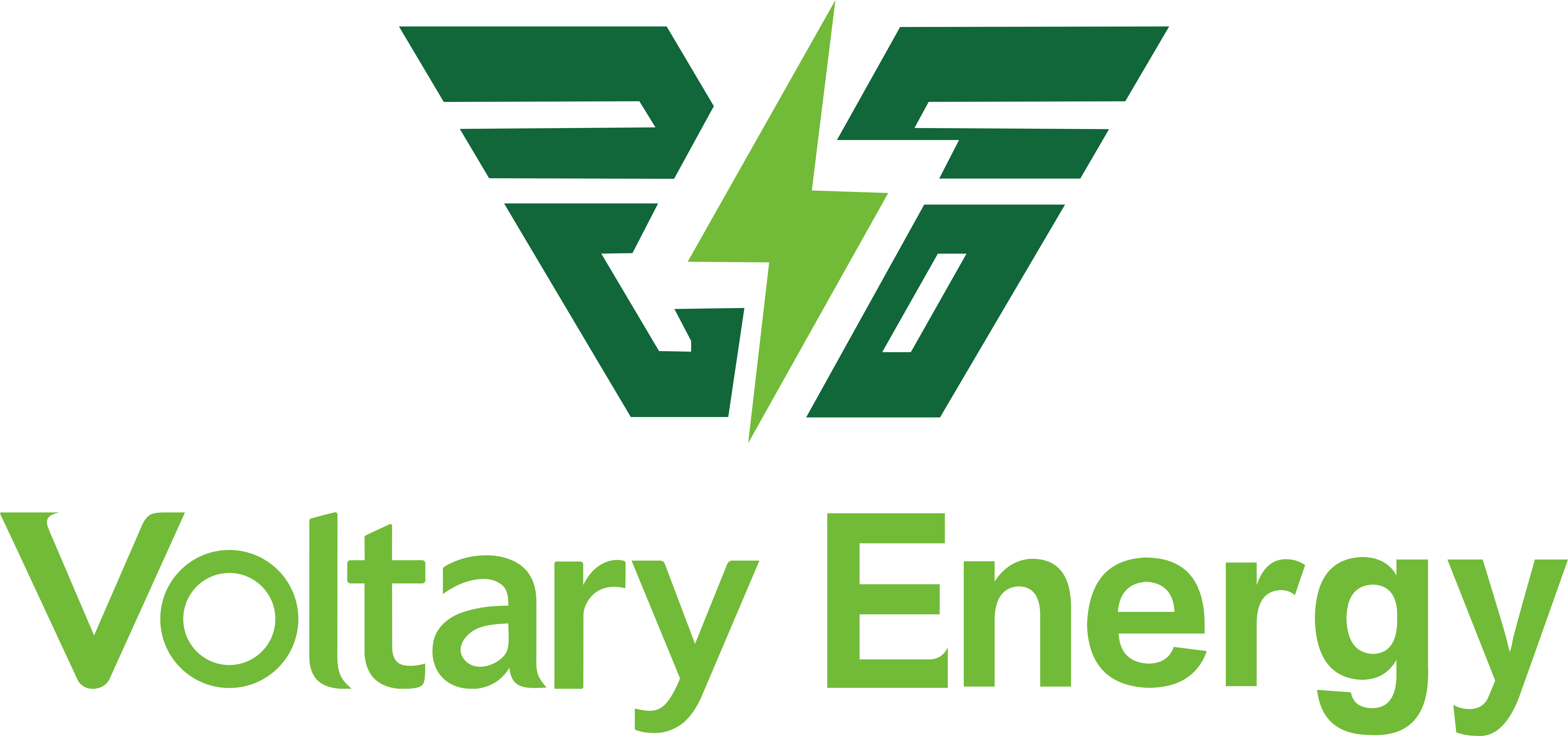 Huizhou Voltary Energy Technology Co., Ltd. logo