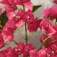 Fleurs artificielles de bougainvillier pour l'aménagement paysager des hôtels et la décoration intérieure, fleurs artificielles pour mariage, arbre artificiel