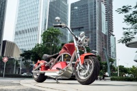 Hollanda depo Mangosteen M1PS-Plating EEC COC 60V 2000W 50Ah elektrikli kıyıcı yağ lastik elektrikli Scooter Citycoco