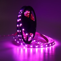 Bande LED 5-en-1 5050 RGB/RGBCW Pleine Couleur CCT Réglable Dimmable Cuivre Étanche IP65/IP68 5m/rouleau