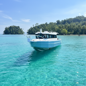 Lancha <span class=keywords><strong>de</strong></span> <span class=keywords><strong>Pesca</strong></span> <span class=keywords><strong>de</strong></span> 9 Metros (30 Pies) con Cabina, Plataforma <span class=keywords><strong>de</strong></span> Aluminio, Tubo <span class=keywords><strong>de</strong></span> Pontón Fácil <span class=keywords><strong>de</strong></span> Transportar, con Motor <span class=keywords><strong>de</strong></span> Gasolina, en Venta - Product Image 1