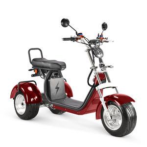 Tricycle électrique à double moteur 4000W 2026 avec pneus larges, 3 roues, moteur 2000W, vitesse 45KM/H, nouveau certifié EEC COC - Product Image 4