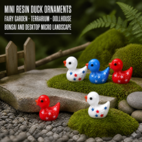 Figurines de canards miniatures en résine peintes à la main, motif étoile, pour jardin féerique, terrarium, décoration de maison de poupée, commande en gros