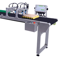 Imprimante jet d'encre thermique industrielle automatique Docod T600 TIJ pour le codage en ligne des dates de péremption des œufs, des codes QR et des codes-barres