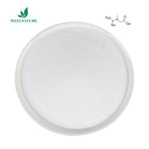 Prezzo di fabbrica creatina monoidrato integratore puro creatina monoidrato in polvere - Product Image 2