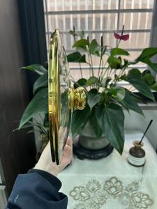 Chất Lượng Cao G Loại Vàng Rim Tempered Glass Có Nắp Đậy Bìa Chảo Nắp Với Núm Thép Không Gỉ Cho Nấu Ăn Nồi - Product Image 5