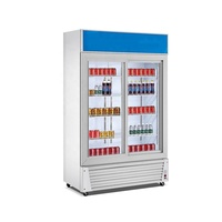 Lemari Pendingin Display Minuman Komersial Pintu Kaca Ganda 1.0m 1.2m Tegak untuk Supermarket Restoran Toko