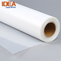 Película de PET Mylar personalizada de fábrica de 75-280 micras para manualidades, tablero de plástico en blanco, plantilla de costura para corte láser Cricut.
