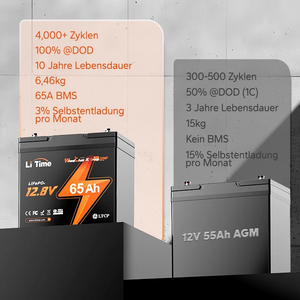 L7.80W6.54H6.69 Zoll Kompakte Bauform litio Akku 12V 65Ah 5 Jahre garantía 4000 Zyklen <span class=keywords><strong>Bei</strong></span> 100% DOD LiFePO4 batería - Product Image 3