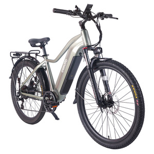 Bicicleta Eléctrica Todoterreno de Dos Ruedas, Batería de Litio sin Escobillas de 48V, 500W, 13-20Ah, Scooter de Largo Alcance - Product Image 1