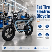 Vélo électrique à pneus larges style cyclomoteur rétro avec porte-bagages arrière et batterie amovible pour concessionnaires, fournisseur OEM, commande en gros