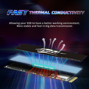 PUSKILL Factory Good Price Customized High Performance NVMe <b>M.2</b> 2280 PCIE3.0 <b>SSD</b> 256GB For computer - Product Image 2
