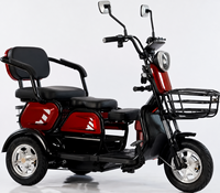 High Quality Adults Battery Powered Electric Tricycle 3wheel Motorcycle Open Body Passenger with 30km/h Speed and 90km Range